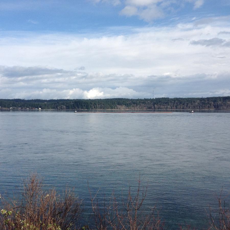 Above Tide Motel Campbell River Exterior foto